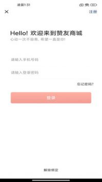 赞友商城原版图2