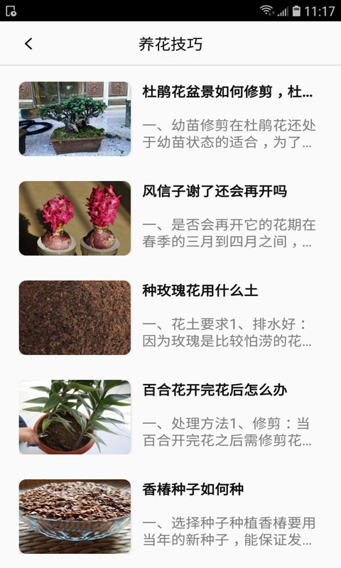 养花e族图1