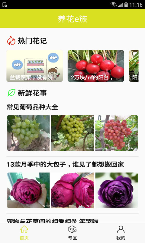 养花e族图2