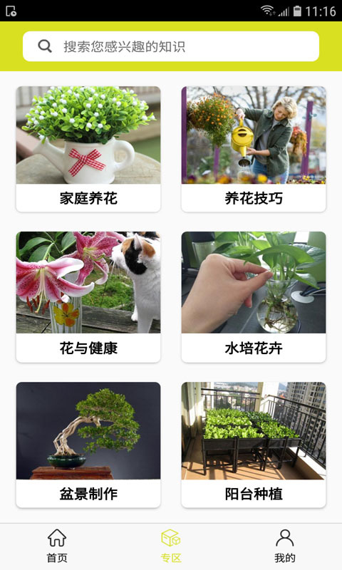养花e族图3