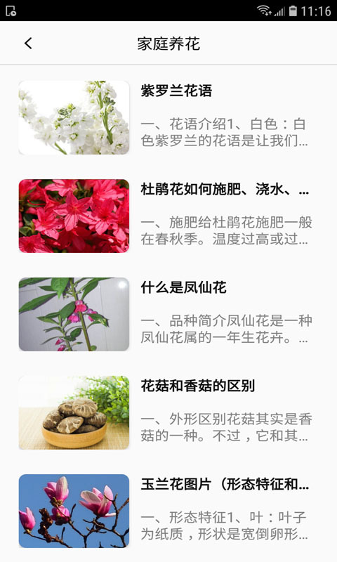 养花e族图4