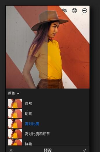 PresetPremium滤镜图2