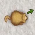 小熙解说饥饿的猫咪游戏安卓最新版