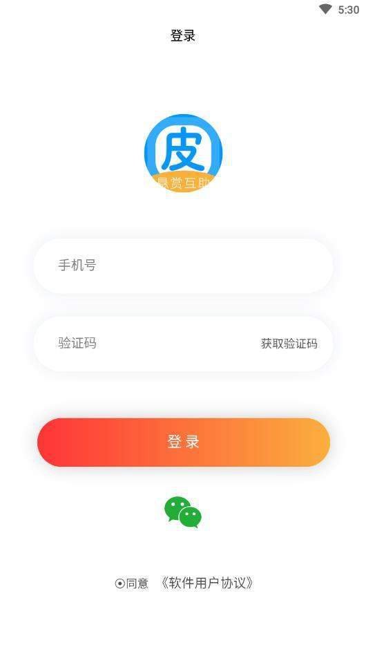 皮一波图1