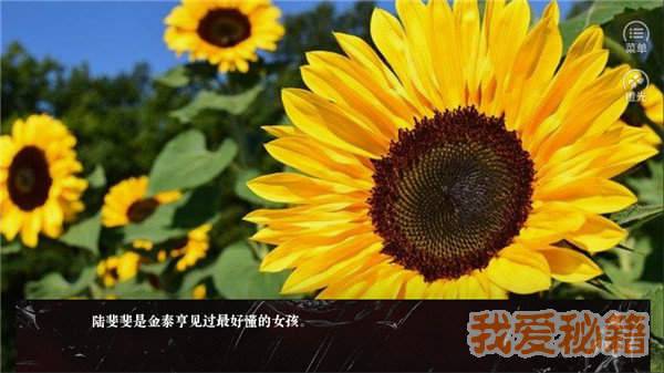 烈火文明橙光破解版2021