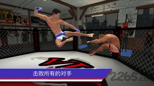 mma战神之战手机版图2