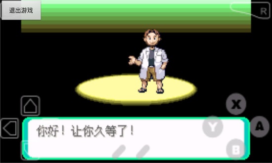 口袋妖怪漆黑的魅影dp图4