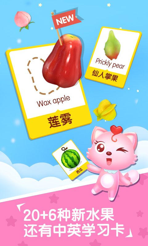 水果拼盘猫小帅图1
