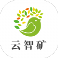 云智矿图标