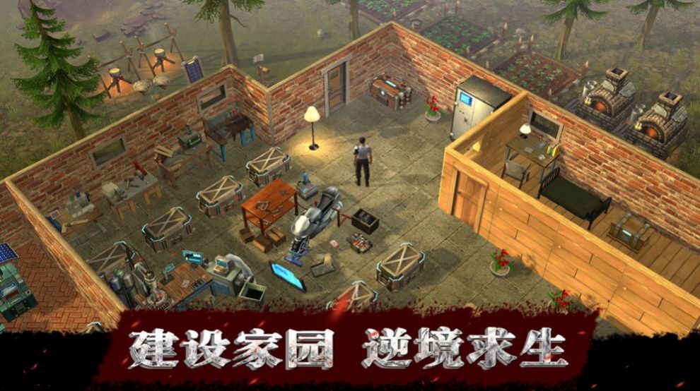 代号曙光图1