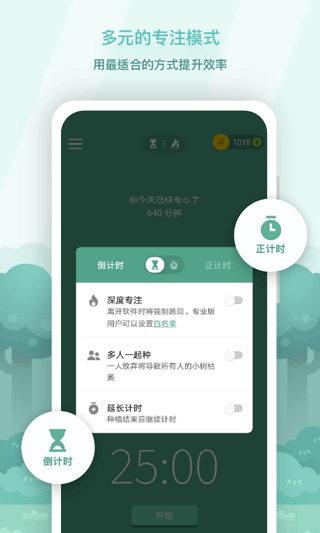 Forest专注森林图1