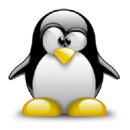 Linux Deploy软件