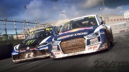 拉力竞速3官方正版RushRally3图2