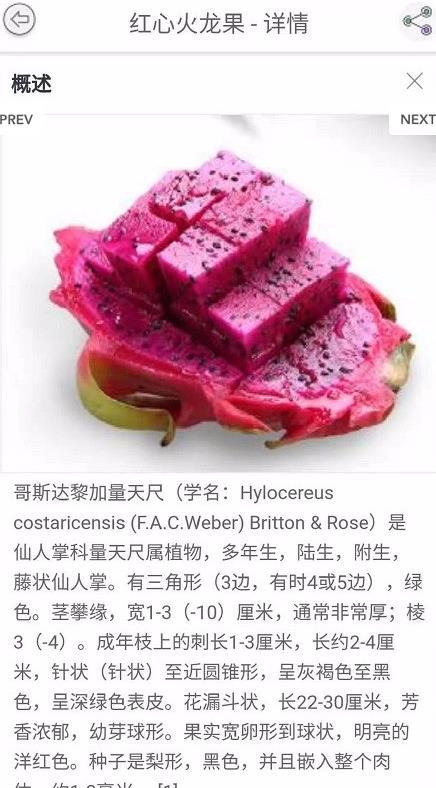 水果百科app图3