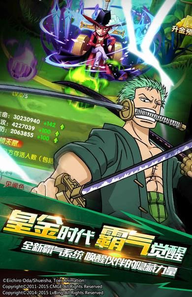 少年海贼王bt版