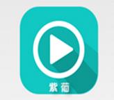 紫葡云播apk