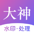 大神水印app官方版