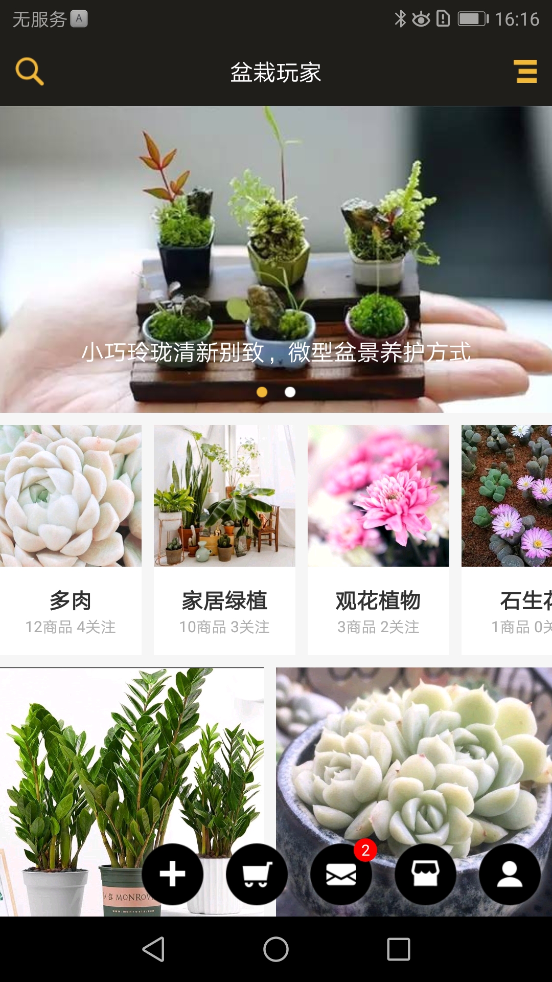 盆栽玩家图2