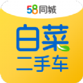 白菜二手车app