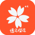 弹幕主义