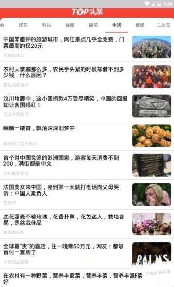 Top头条图2