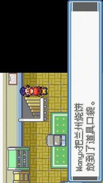 口袋妖怪梦的光点图1