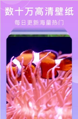 壁纸全能王图3