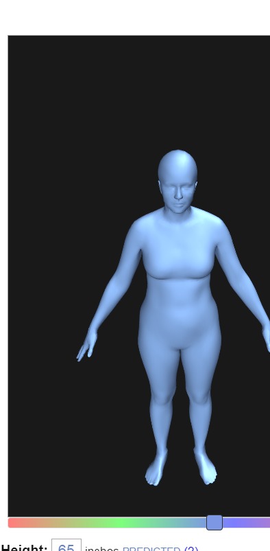 bodyvisualizer图2