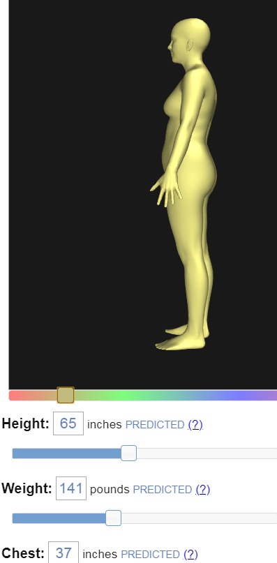 bodyvisualizer图4
