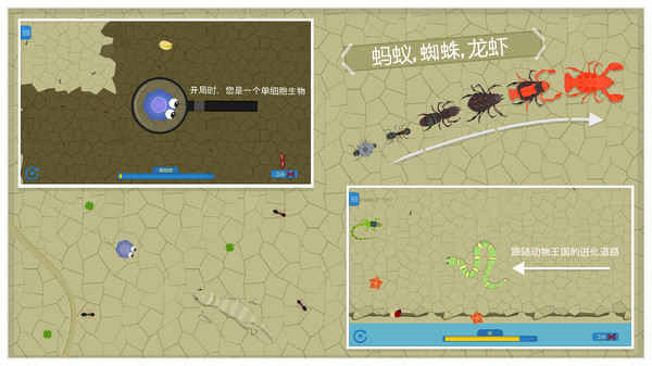动物进化论图3