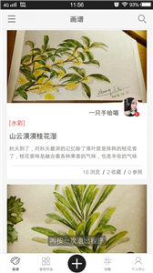 马蹄香图2