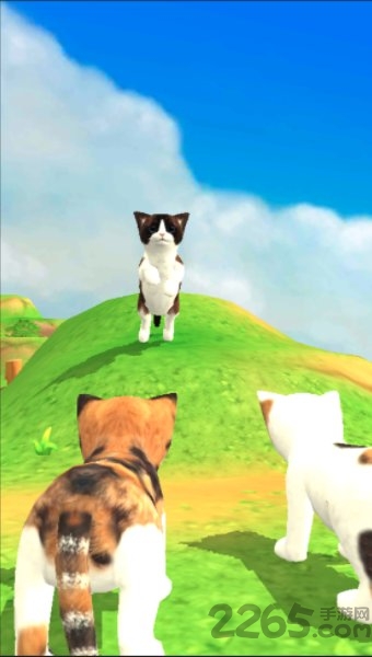 猫咪流浪记手游图3