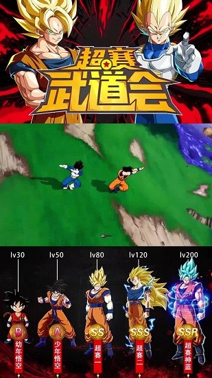 超赛武道会图1