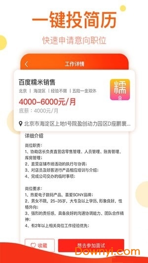 蚁盒子图1