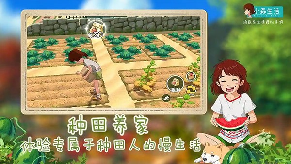 小森生活腾讯版图5