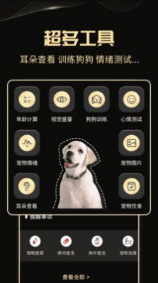 人狗交流神器图3