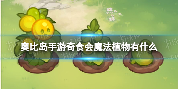 《奥比岛手游》奇食会魔法植物有什么 奇食会魔法植物一览