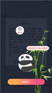 熊猫优选图3