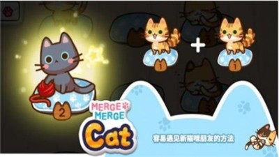 猫咪合成屋红包版图3