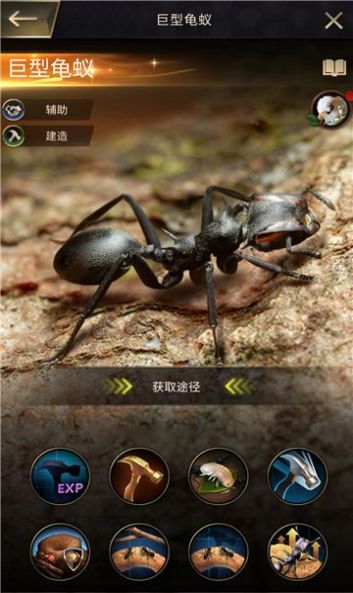 超能蚁团图3