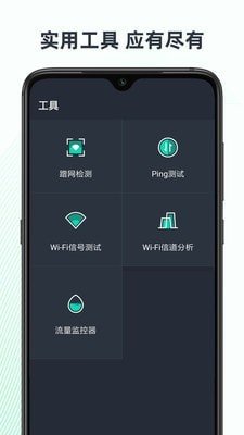 网络诊断大师截图3