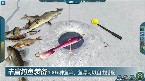 冰钓大师破解版无限金币图2