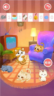 宝宝猫咪乐园图1