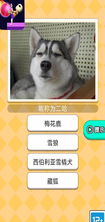 魔音球球小游戏图3