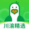 小鸽鲜达图标