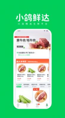 小鸽鲜达图3
