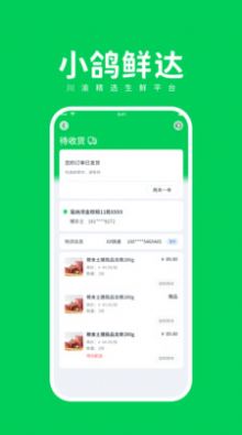 小鸽鲜达图2