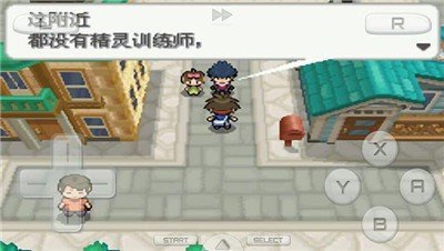 口袋妖怪白图2
