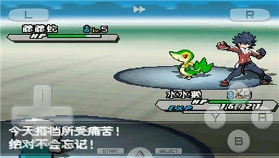 口袋妖怪白图3