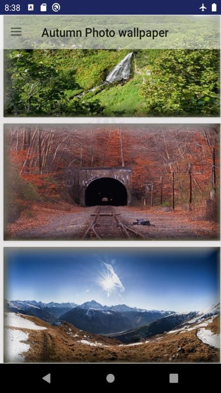 秋照壁纸AutumnPhotowallpaper图3